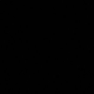 Meet your Posher, Faith